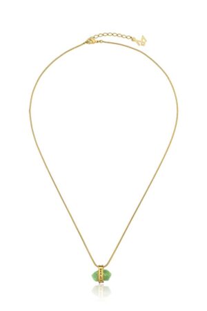 COLAR HEALTH SIMPLES - COLEÇÃO BELIEVE