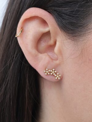 BRINCO FLORES CRAVEJADA - ESSENCIAIS