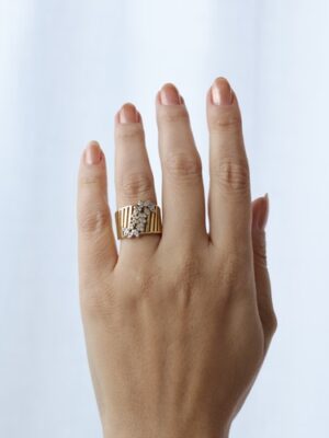 ANEL FURADO ZIRCONIA FO - ESSENCIAIS